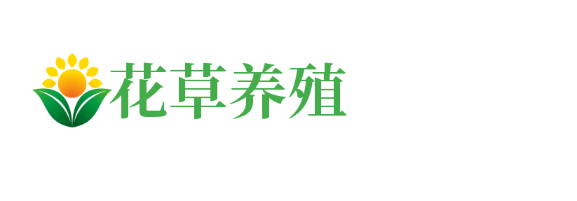 bitpie钱包_bitpie官网_比特派钱包app官网